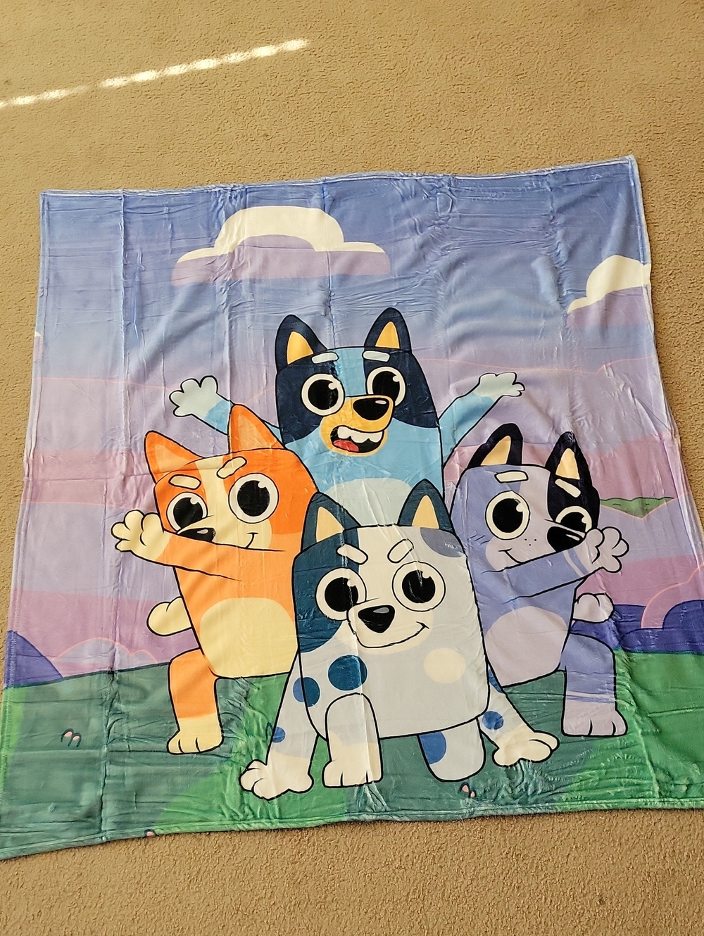 Bluey and Bingo Family themed Throw Blanket Comfy Soft Kids 50"x 60"
